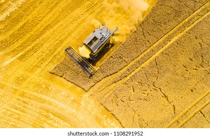 Aerial View Of Combine Harvester On Rapeseed Field. Agriculture And Biofuel Production Theme.