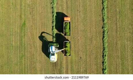 Aerial View Of A Combine Harvester And Tractor With Trailer In Sunny Weather. The Combine Harvester Collects Freshly Cut Grass.