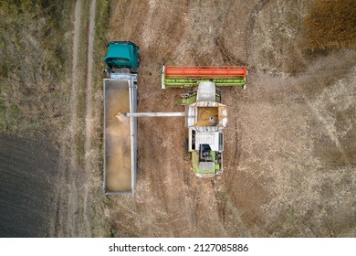 Aerial View Of Combine Harvester Unloading Grain In Cargo Trailer Working During Harvesting Season On Large Ripe Wheat Field. Agriculture And Transportation Of Raw Farm Products Concept