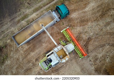 Aerial view of combine harvester unloading grain in cargo trailer working during harvesting season on large ripe wheat field. Agriculture and transportation of raw farm products concept