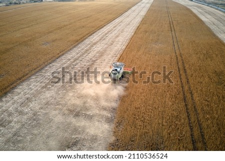 Similar – Image, Stock Photo Mähdräscher harvests a grain field in the evening light from the air