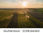 Aerial view of combine harvesters working during harvesting season on large ripe wheat field. Agriculture concept