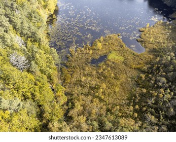 Aerial view of coniferous and deciduous forest and a tarn, seen from above, bird's eye view. Autumn landscape, trees that begin to get fall colors. Drone nature photography taken in Sweden. - Powered by Shutterstock