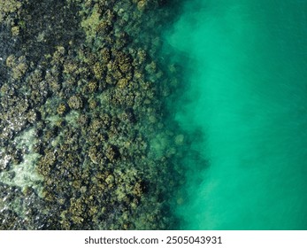 Aerial view of the coral reef in Ko Ngai during low tide, with some of the rocks outside of the emerald water and an underwater cliff on this tropical island of Trang, Thailand - Powered by Shutterstock