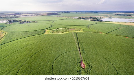 Aerial view of corn fields - Powered by Shutterstock