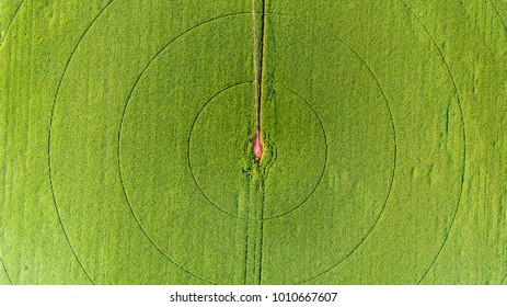 Aerial view of corn fields - Powered by Shutterstock