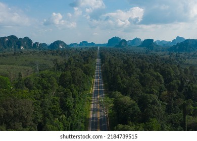 Aerial view of country asphalt road in forest. Cinematic drone shot of straight way and car moving in country road in middle of forest.