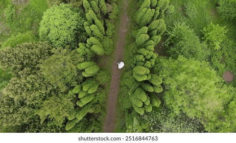 Aerial View of Couple in Lush Green Forest Path. Aerial view Young people on their wedding day dance in a fabulous Park with beautiful trees. The view from the drone. - Powered by Shutterstock