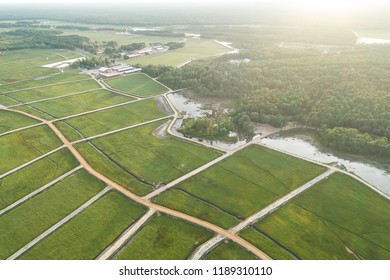 Aerial View Of Cranberry Bogs In The New Jersey Pine Barrens