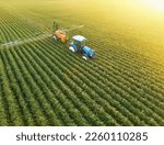 Aerial view of crop sprayer spraying pesticide on a soybean field at sunset, Drone shot flying over agricultural soybean field, tractor and crop sprayer protection plants against diseases and insects