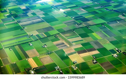 Aerial View Of Cultivated Agricultural Farming Land With Vivid Green Color