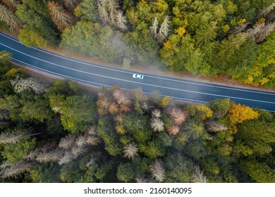 Aerial View Of Curvy Road Passing Through The Autumn Forest, Top View