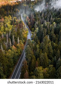 Aerial View Of Curvy Road Passing Through The Autumn Forest, Top View