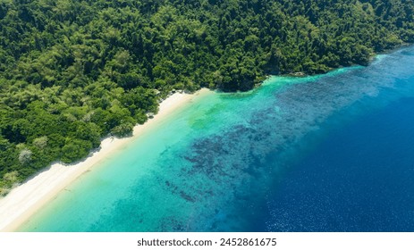 Aerial view of the dark green forest and the sea. Natural ecosystems of forests and oceans. concept of natural forest conservation - Powered by Shutterstock