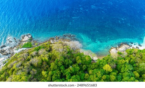 Aerial view of the dark green forest and the sea. Natural ecosystems of forests and oceans. concept of natural forest conservation - Powered by Shutterstock