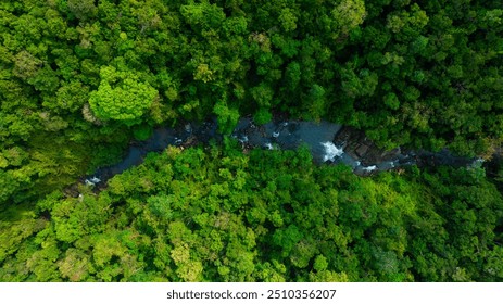 Aerial view of dark green forest on mountain with waterfall and mist. Rich natural ecosystem of rainforest. Conservation and reforestation concept. - Powered by Shutterstock