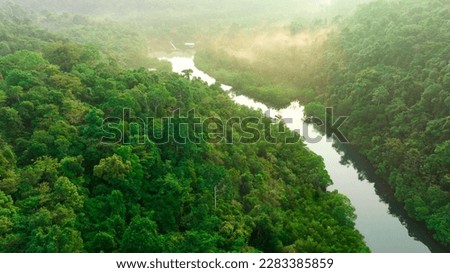Aerial view of dark green forest and river. Rich natural ecosystem of rainforest. concept of natural forest conservation