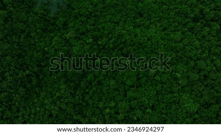 Aerial view of dark green forest and river. Rich natural ecosystem of rainforest. concept of natural forest conservation