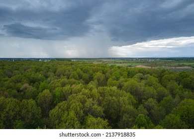 Aerial View Of Dark Green Lush Forest With Dense Trees Canopies In Summer