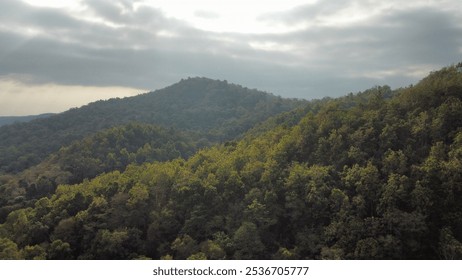 Aerial view of a dense forest covering rolling hills, creating a serene landscape under a cloudy sky in Chiang Mai Thailand - Powered by Shutterstock