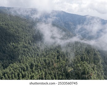 Aerial view of a dense forest with mist and clouds covering the mountain landscape on a cloudy day. - Powered by Shutterstock