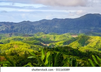 Aerial View Of The Dense Madagascar Rainforest