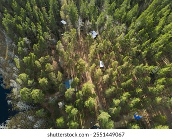 Aerial view of a dense pine forest, rustic cabins, and a nearby water body, creating serenity - Powered by Shutterstock