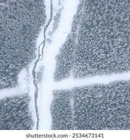 An aerial view of a dense snow-covered forest divided by winding paths and a narrow stream. The frosty landscape, blanketed in white, creates a striking geometric pattern. Perfect for winter, nature,  - Powered by Shutterstock