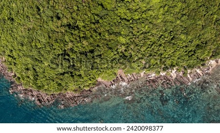 Aerial view of a dense tropical forest meeting a rocky shoreline with clear sea waters, depicting a tranquil natural landscape