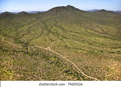 Aerial View Of The Desert Floor In The Spring