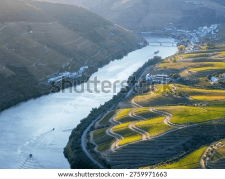 Aerial view of the Douro River, terraced vineyards, a bridge, and riverside village in Douro Valley, Portugal.