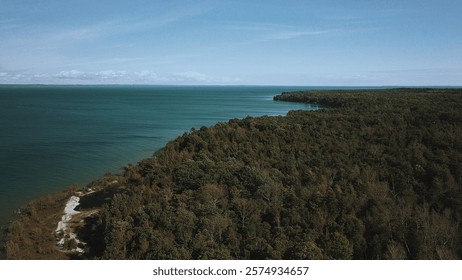 An aerial view of a dramatic forest by a turquoise ocean