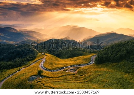 Aerial view of dramatic sunset over Tree Marigold field blossom, winding road and mountain at Doi Mae U Kho, Mae Hong Son, Thailand