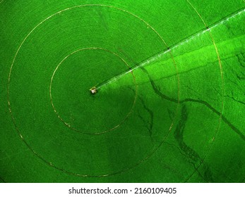 Aerial view from a drone flying above a green farm field growing crops growth with irrigation pivot sprinklers - Powered by Shutterstock