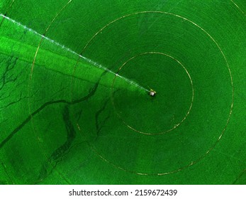 Aerial view from a drone of a green farm field of crops growing with pivot sprinklers irrigation - Shutterstock ID 2159672439