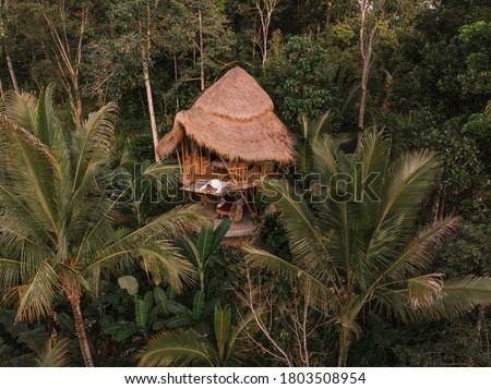 Aerial view from drone happy travel couple on hammock balcony of bamboo tree house with jungle nature view. Vacation in beaitiful hidden place, honeymoon on Bali island
