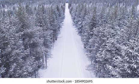 Aerial View From Drone Of Nature Landscape Capped With Snow And Surrounded By Coniferous Forest, Bird’s Eye View Of Of Snowy Trees In National Park Of North Lapland In Winter, Road Without Cars