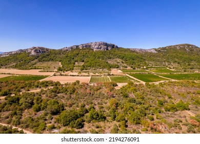 aerial view with drone on fields, vineyards and vegetation, reliefs in the background, during a sunny weather and blue sky