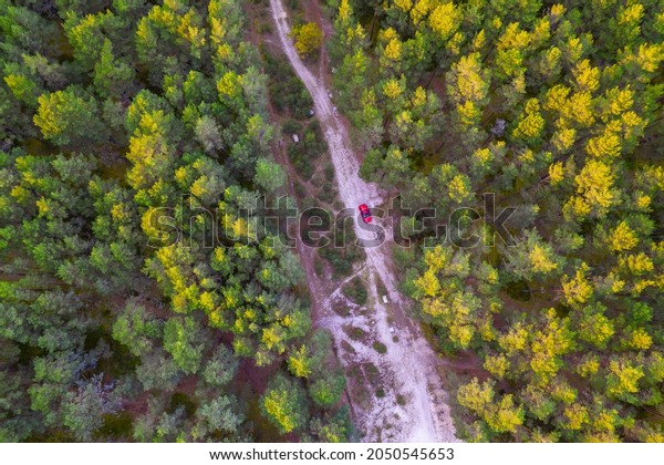 Aerial view from drone of road leading through autumn\
forests and red highlighted car and groves in yellow green colors.\
Dense forest in golden time in fall season. Roadway among colorful\
treetops 