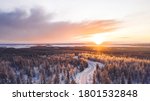 Aerial view from drone of snowy pines of endless coniferous forest trees in Lapland National park, bird’s eye scenery  view of natural landmark in Riisitunturi on winter season at sunset golden light