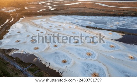 Aerial view of effluent discharge from a pulp and paper mill into a water body
