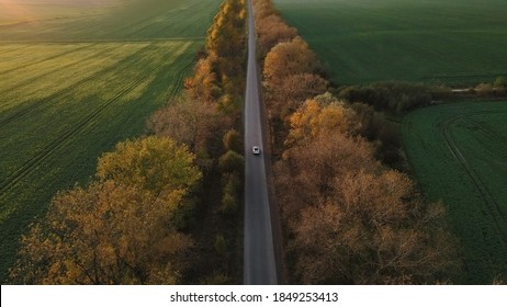Aerial view Electric Car Driving on Country Road. Luxury modern vehicle riding fast along trees and fields. Cinematic drone shot flying over gravel road with trees at sunset