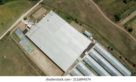 Aerial View Of Empty Hydroponics Greenhouse Plantation Fulled With Organic Fresh Green Salad During Farming Production. Vegetable Delivering To Customer As Agronomy Plantation. Agricultural Concept