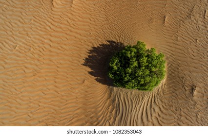 Aerial View From The Empty Quarter Desert In Liwa, Abu Dhabi