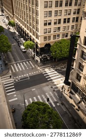 Aerial view of an empty urban intersection with crosswalks, surrounded by tall buildings and lush green trees on a sunny day.