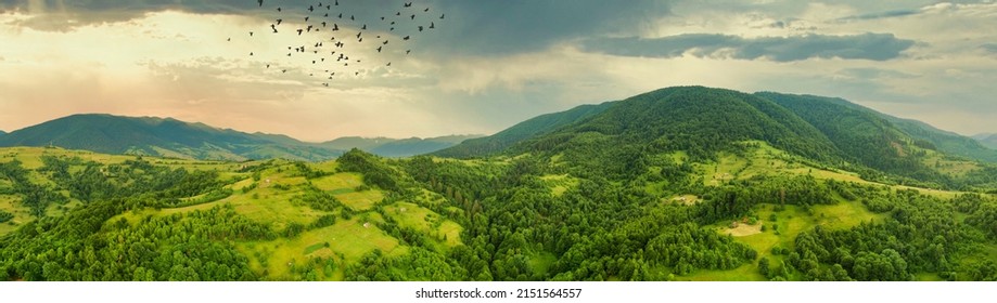 Aerial view of the endless lush pastures of the Carpathian expanses and agricultural land. Cultivated agricultural field. Rural mountain landscape at sunset. Ukraine.