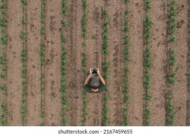 Aerial view of farm worker using drone in cultivated corn crop field, drone pov directly above