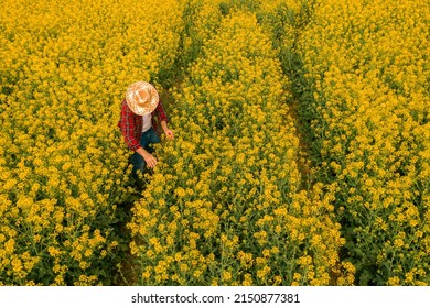 Aerial view of farmer examining blooming rapeseed field, farm worker from drone pov in crop control concept - Powered by Shutterstock