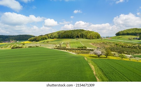 Luftbild landwirtschaftlicher Flächen mit Kulturpflanzen, Weiden und Obstgarten 