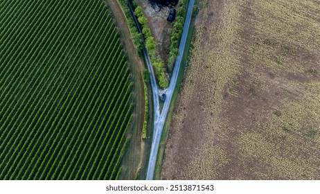 Aerial View of Farmland Intersection with Contrasting Crop Fields - Powered by Shutterstock